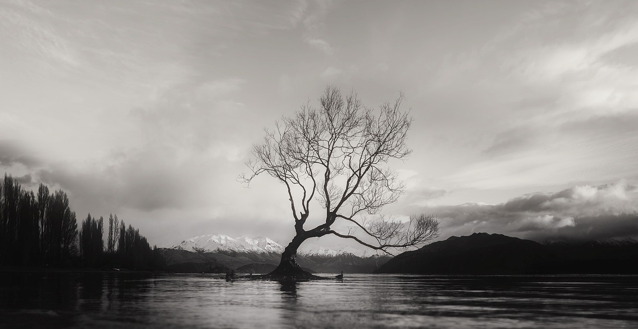 Baum mitten in See in Berglandschaft